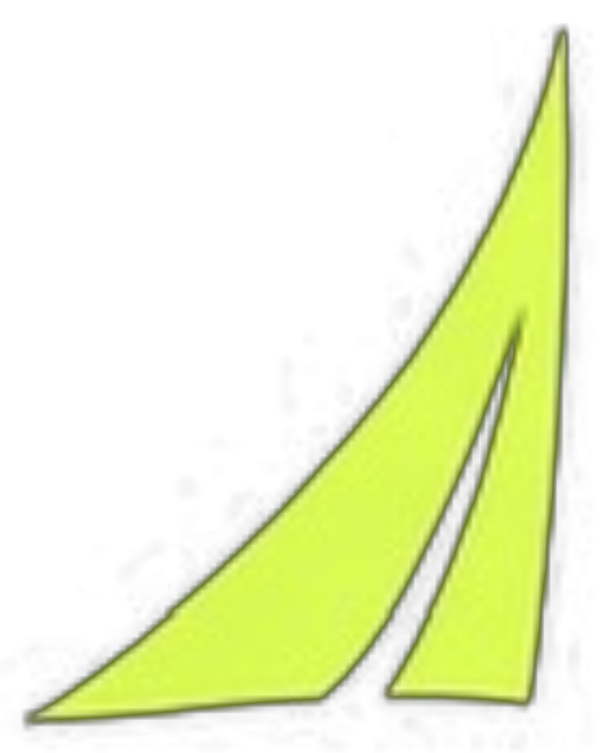 Vela